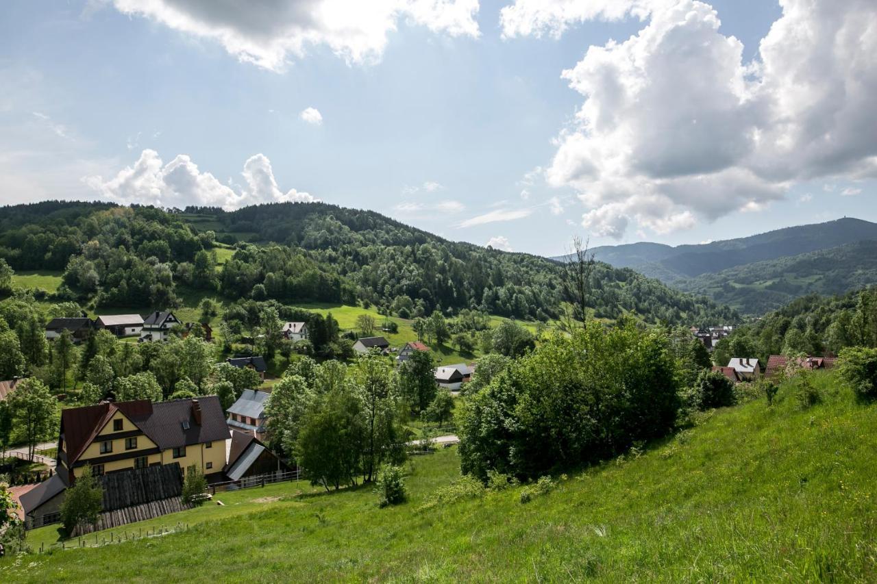 Проживання в сім'ї Gorczanski Kacik